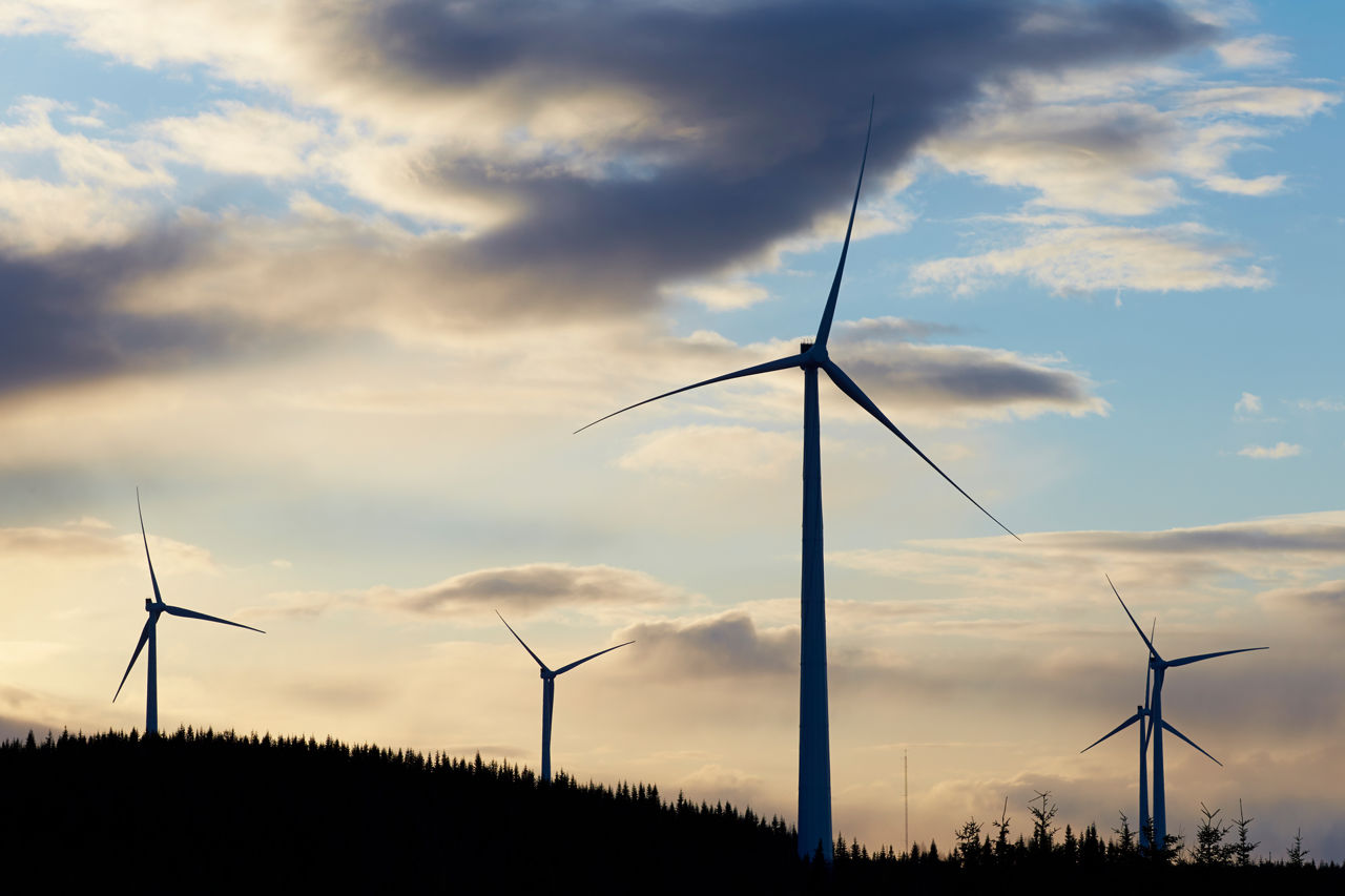 Vindkratpark på kullar med skog